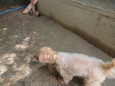 f:id:roukenhome-ann:20190723120029j:plain