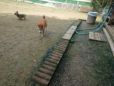 f:id:roukenhome-ann:20190723120044j:plain