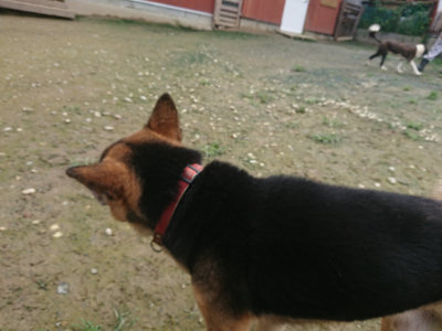 f:id:roukenhome-ann:20190723120058j:plain