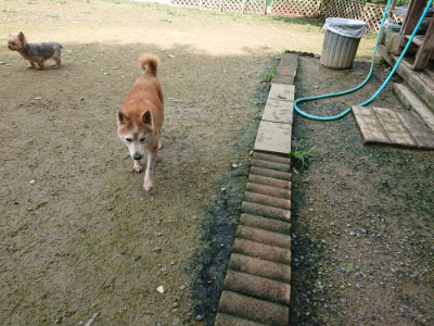 f:id:roukenhome-ann:20190723120112j:plain