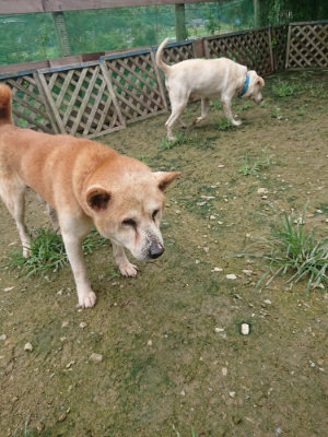 f:id:roukenhome-ann:20190723120122j:plain