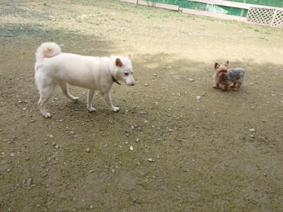 f:id:roukenhome-ann:20190723120137j:plain