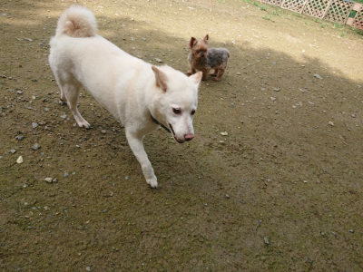 f:id:roukenhome-ann:20190723120151j:plain