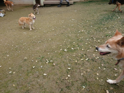 f:id:roukenhome-ann:20190723120749j:plain