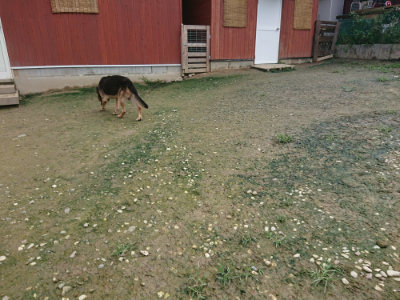 f:id:roukenhome-ann:20190723120819j:plain
