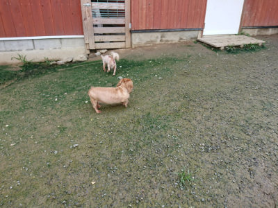 f:id:roukenhome-ann:20190723120834j:plain