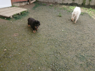 f:id:roukenhome-ann:20190723120841j:plain