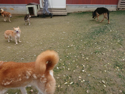 f:id:roukenhome-ann:20190723120846j:plain