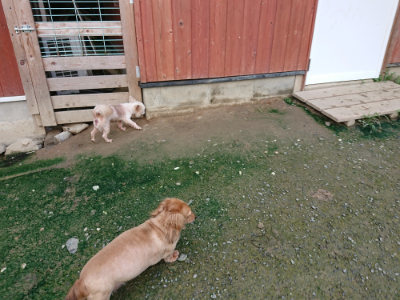 f:id:roukenhome-ann:20190723120904j:plain