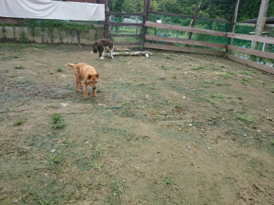 f:id:roukenhome-ann:20190723120913j:plain