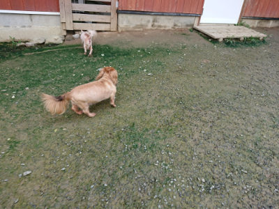 f:id:roukenhome-ann:20190723120923j:plain