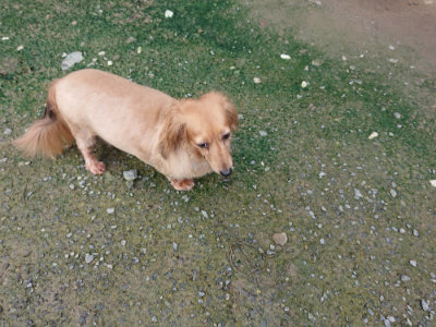 f:id:roukenhome-ann:20190723120944j:plain