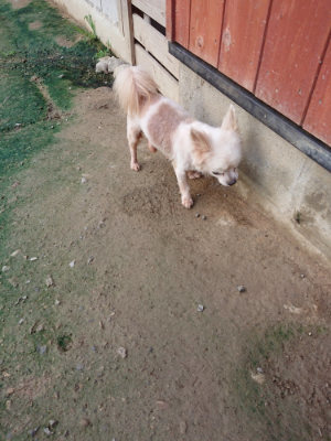 f:id:roukenhome-ann:20190723121015j:plain