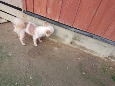 f:id:roukenhome-ann:20190723121026j:plain