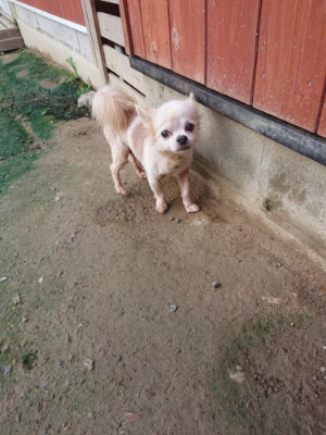 f:id:roukenhome-ann:20190723121040j:plain