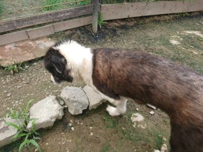 f:id:roukenhome-ann:20190723121105j:plain
