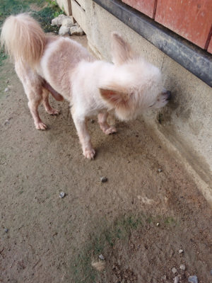 f:id:roukenhome-ann:20190723121120j:plain