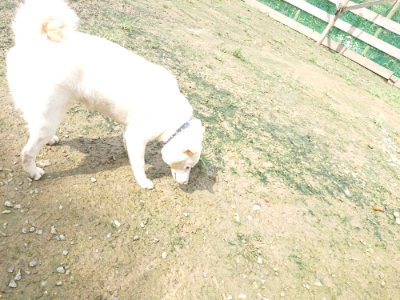 f:id:roukenhome-ann:20190723121125j:plain