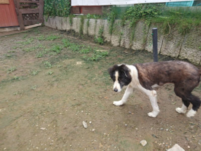 f:id:roukenhome-ann:20190723121131j:plain