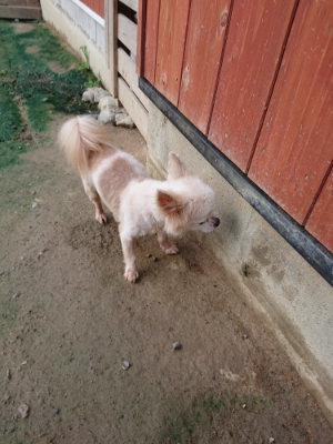 f:id:roukenhome-ann:20190723121137j:plain