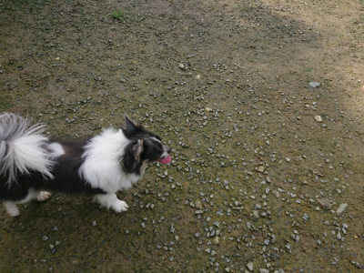 f:id:roukenhome-ann:20190723121201j:plain