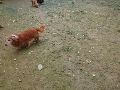 f:id:roukenhome-ann:20190723121335j:plain