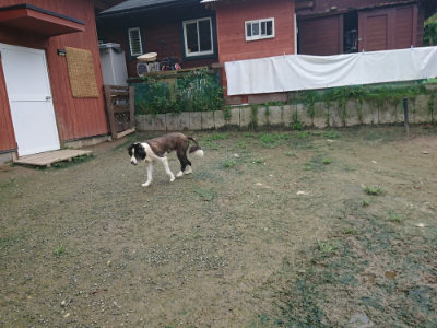 f:id:roukenhome-ann:20190723121456j:plain