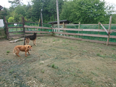 f:id:roukenhome-ann:20190723121515j:plain