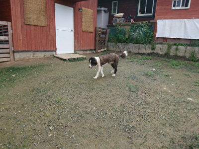 f:id:roukenhome-ann:20190723121531j:plain