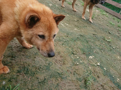 f:id:roukenhome-ann:20190723121549j:plain