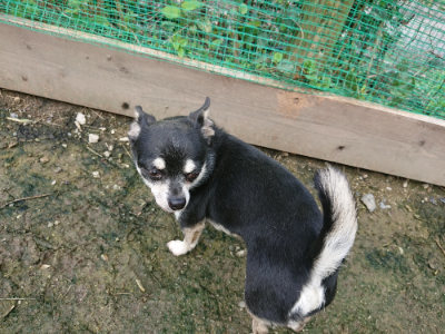 f:id:roukenhome-ann:20190723121702j:plain