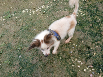 f:id:roukenhome-ann:20190723121840j:plain