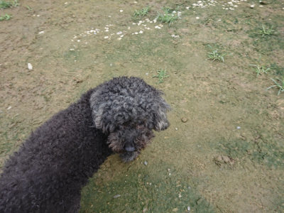 f:id:roukenhome-ann:20190723122207j:plain