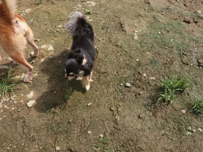 f:id:roukenhome-ann:20190723122532j:plain