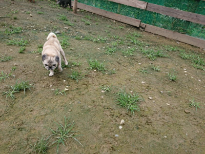 f:id:roukenhome-ann:20190723122555j:plain