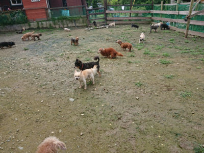 f:id:roukenhome-ann:20190723122606j:plain