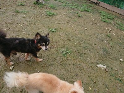 f:id:roukenhome-ann:20190723122623j:plain