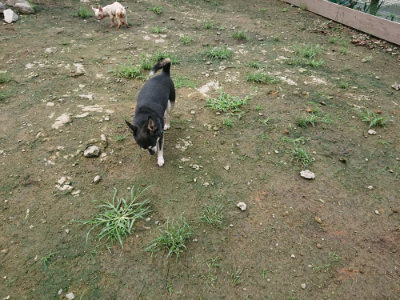 f:id:roukenhome-ann:20190723122634j:plain