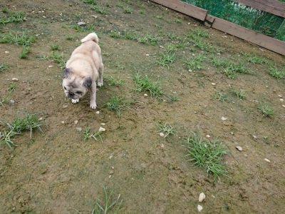 f:id:roukenhome-ann:20190723122653j:plain