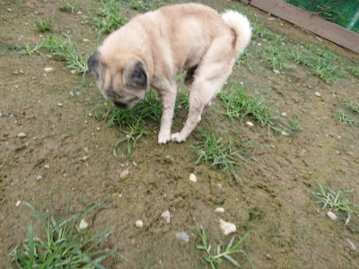 f:id:roukenhome-ann:20190723122658j:plain