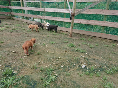 f:id:roukenhome-ann:20190723122710j:plain