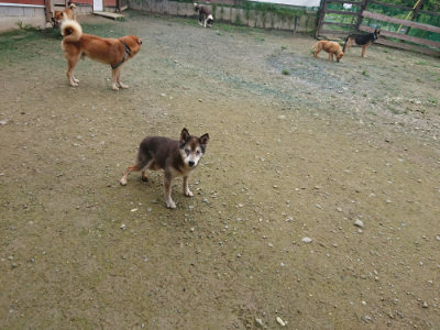 f:id:roukenhome-ann:20190723122905j:plain