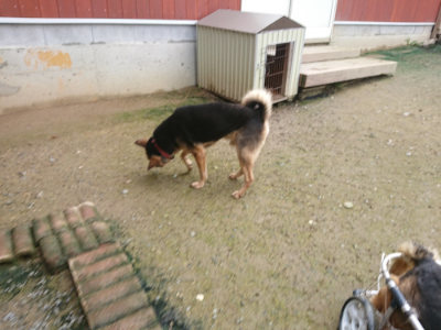 f:id:roukenhome-ann:20190723122921j:plain