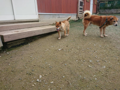 f:id:roukenhome-ann:20190723122931j:plain
