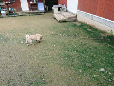 f:id:roukenhome-ann:20190723122936j:plain