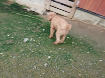 f:id:roukenhome-ann:20190723123002j:plain
