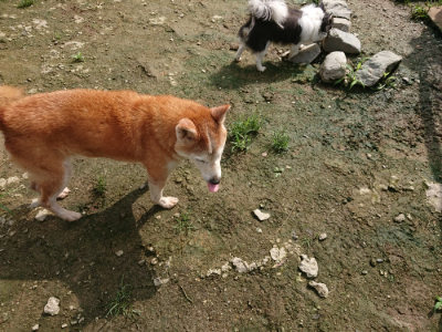 f:id:roukenhome-ann:20190723123044j:plain