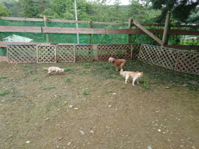 f:id:roukenhome-ann:20190723123150j:plain