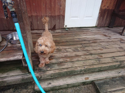 f:id:roukenhome-ann:20190723123241j:plain