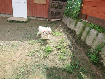 f:id:roukenhome-ann:20190723123255j:plain